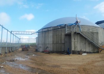 Fulfilling the Potential of Biogas in Spain